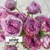 Хайп (Hype) — изображение 2