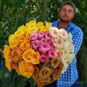 01. Премиум-класс розы